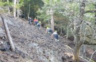 Großflächiger Waldbrand in Kleinstübing